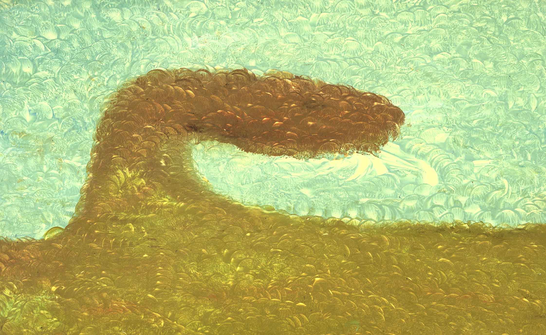 New York Art Gallery Show